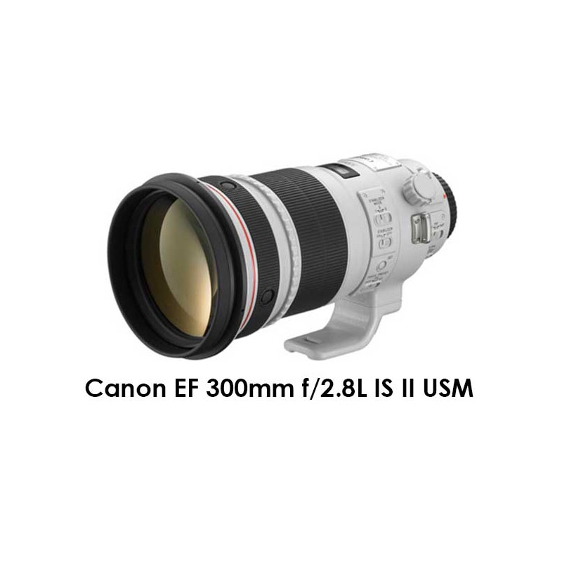 EF 300mm F2.8L IS II USM