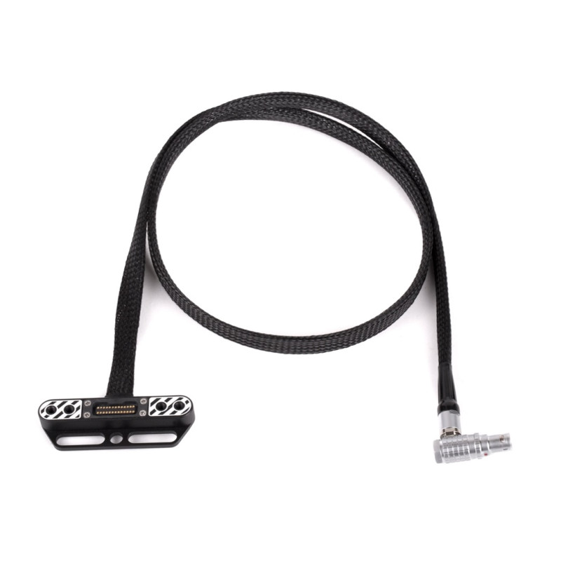 RED Male Pogo to F LEMO Cable
