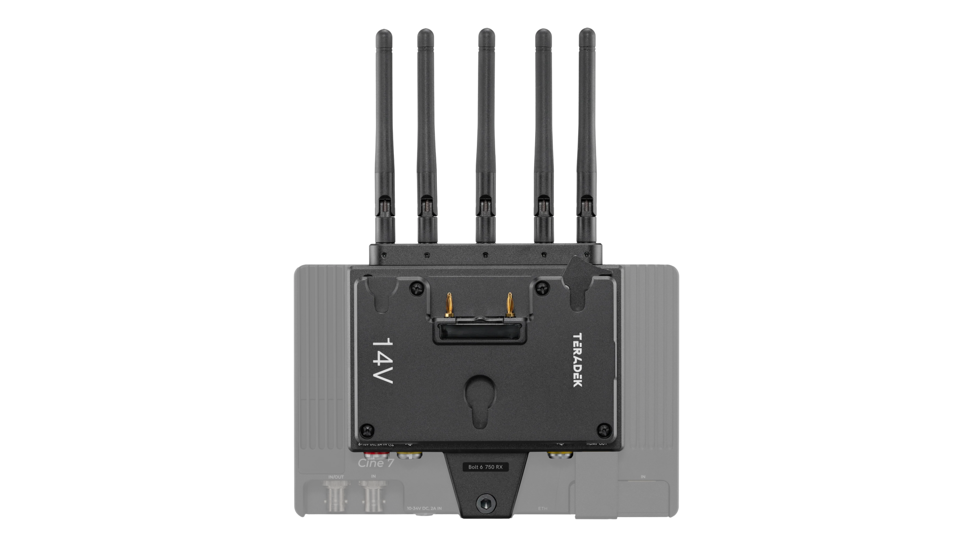 Bolt 6 Monitor RX 10-2199-G7