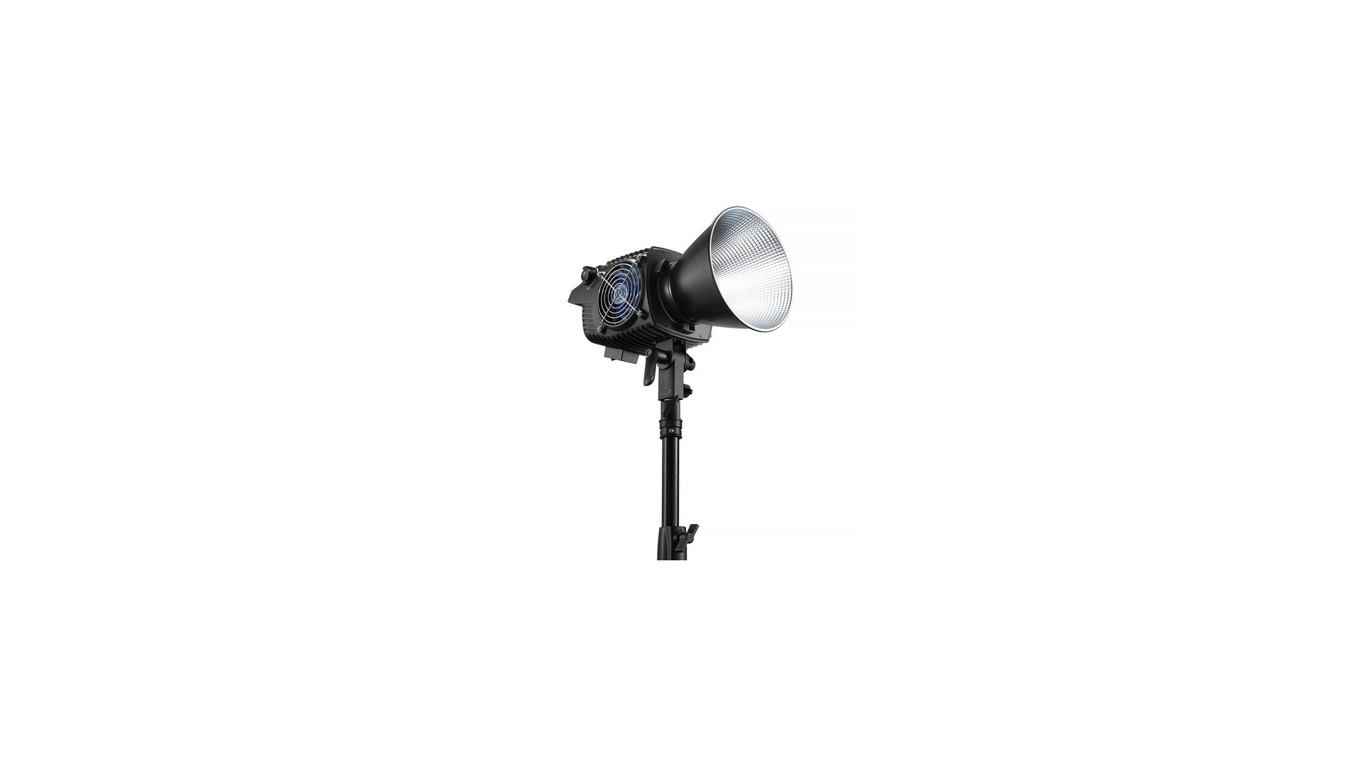 Molus B300