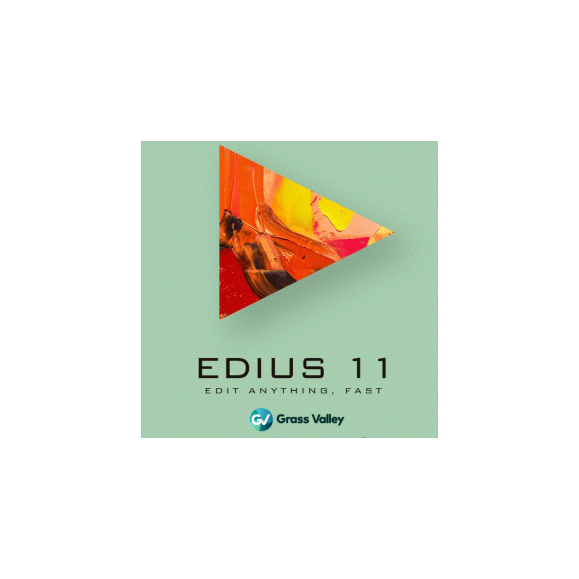 Edius 11 Broadcast
