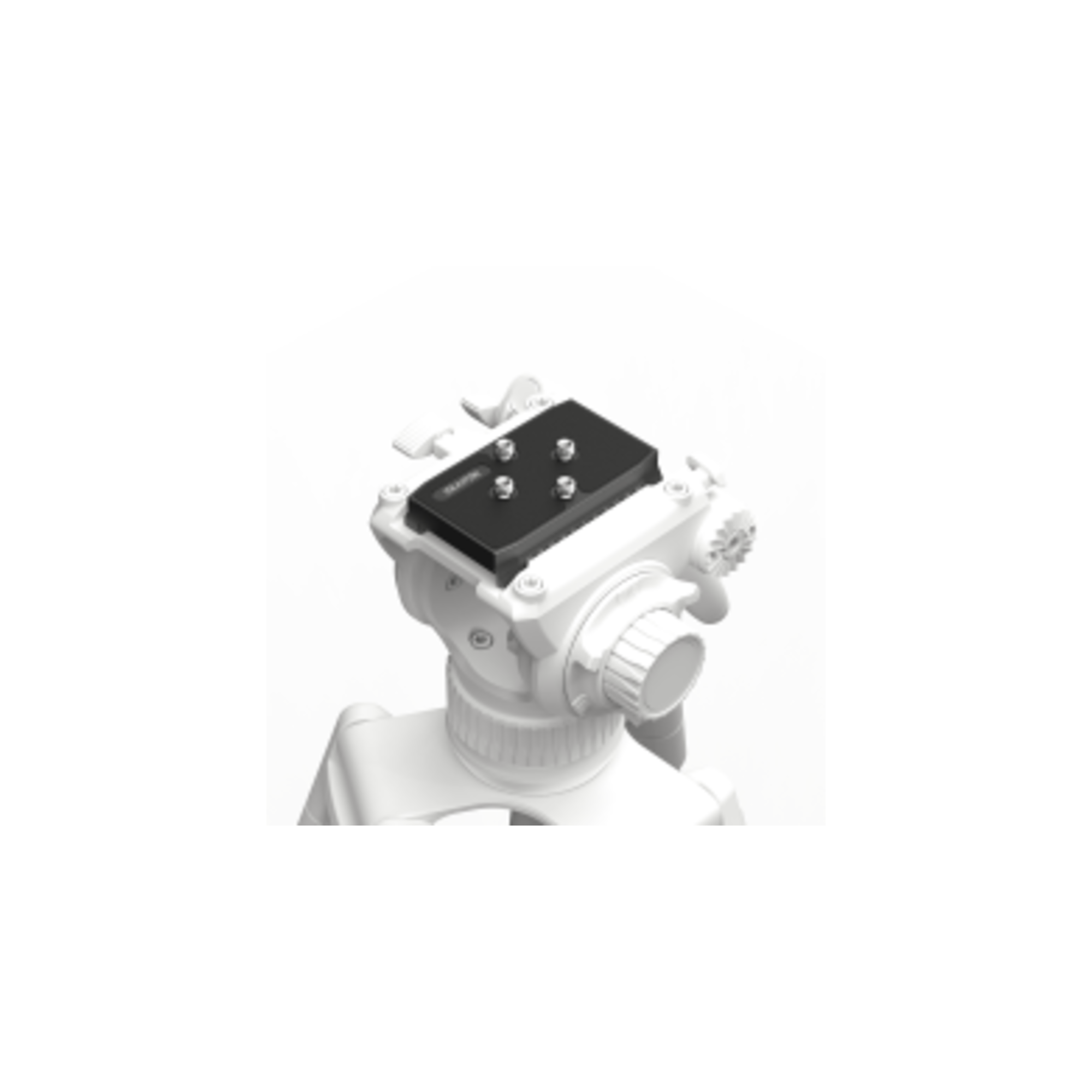 AR-H1