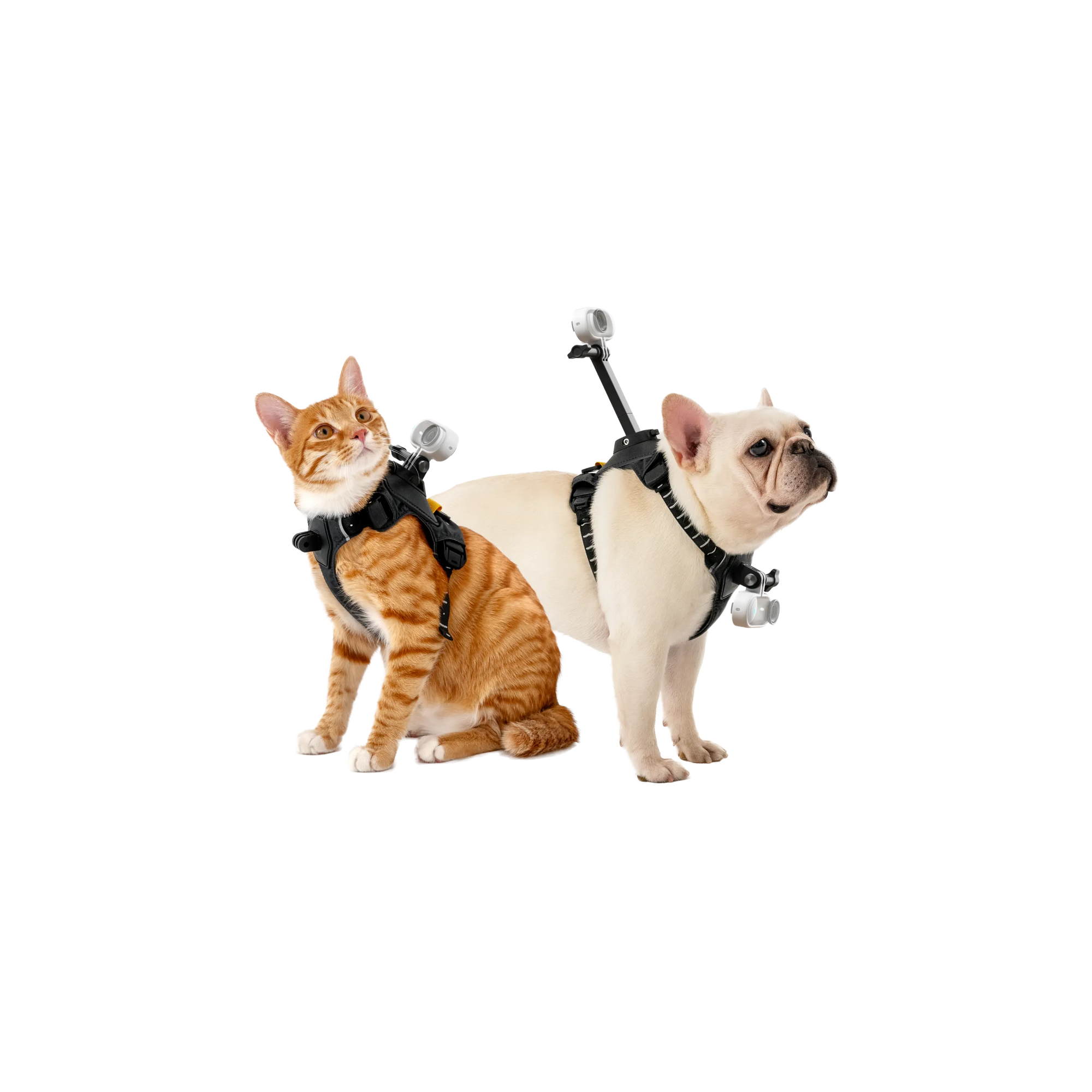 Pet Harness Mount - S