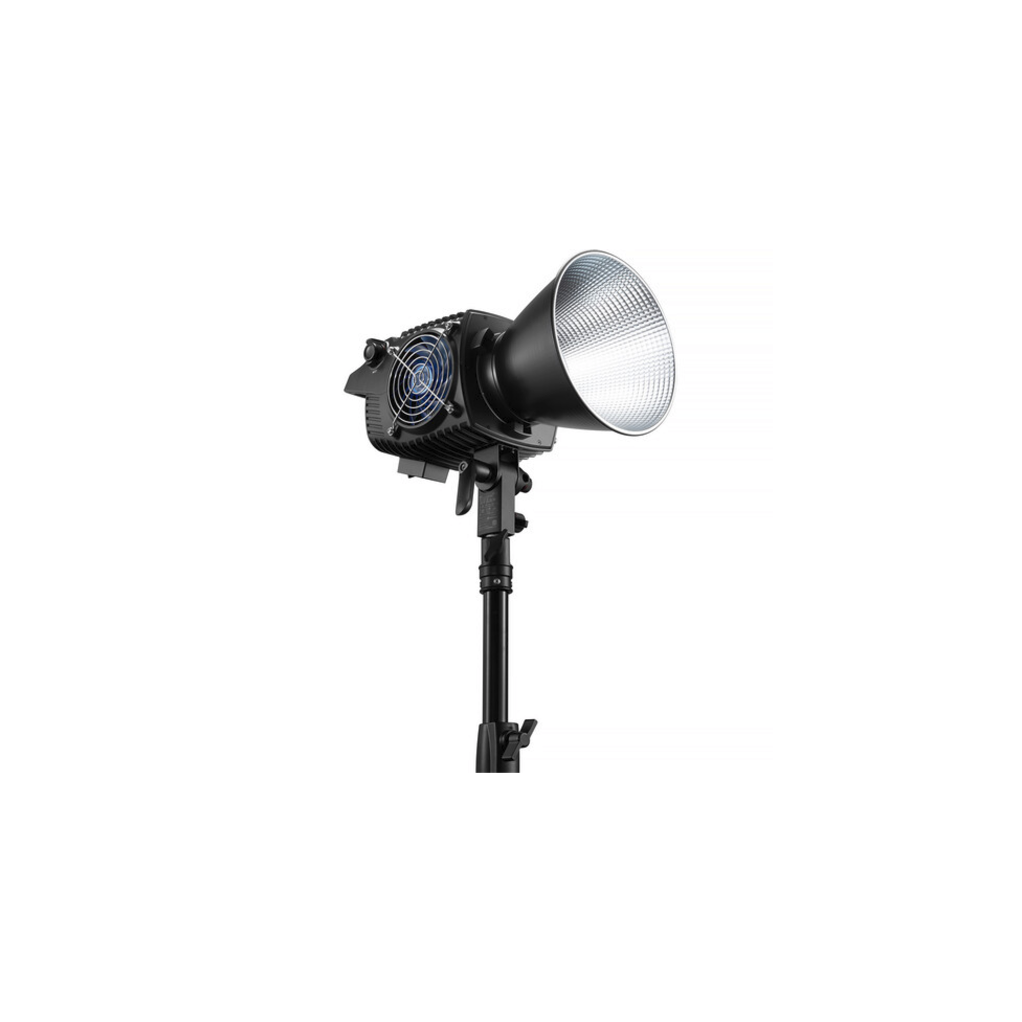 Molus B300