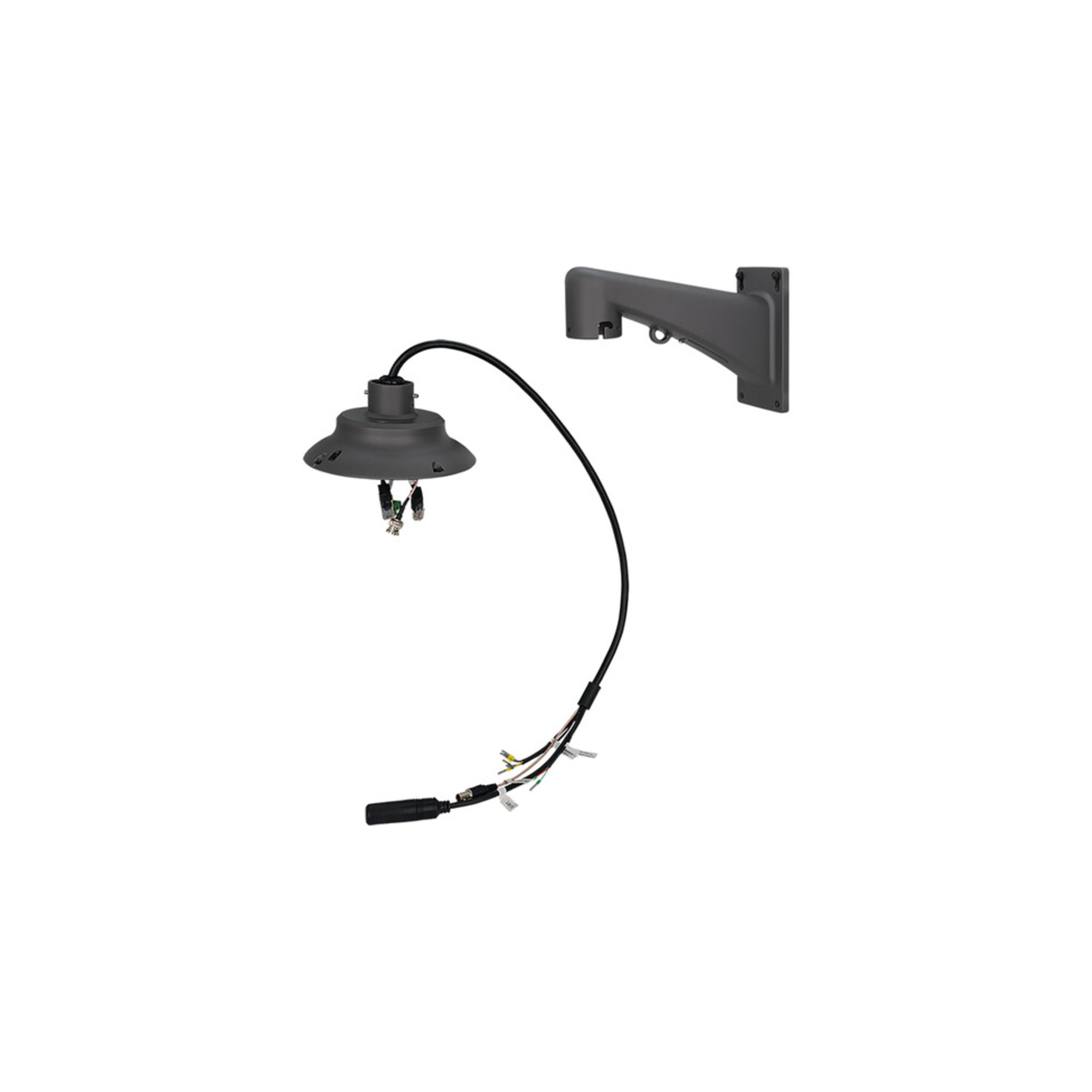 SD-TCA