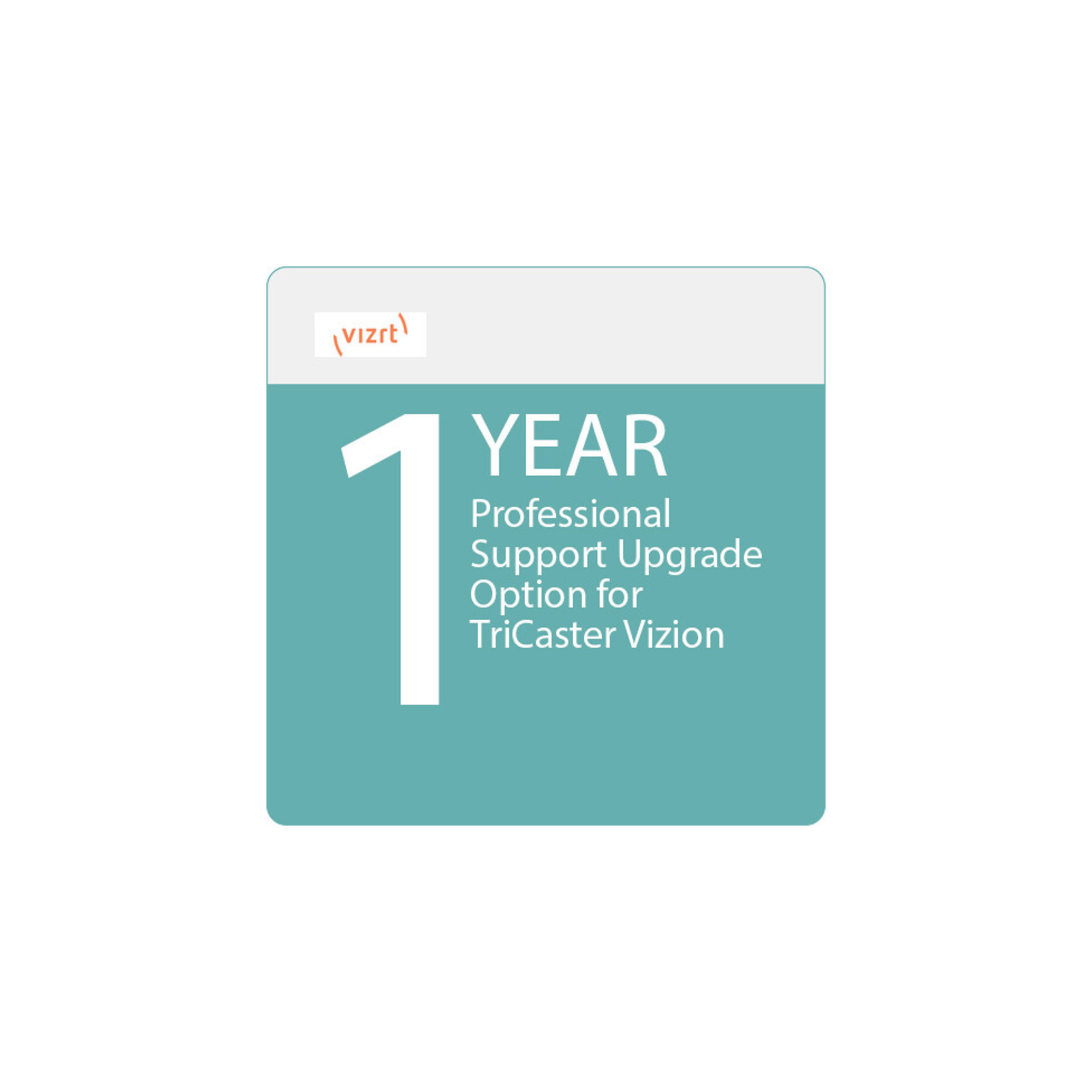 1Y Upgrade to Profess. Support