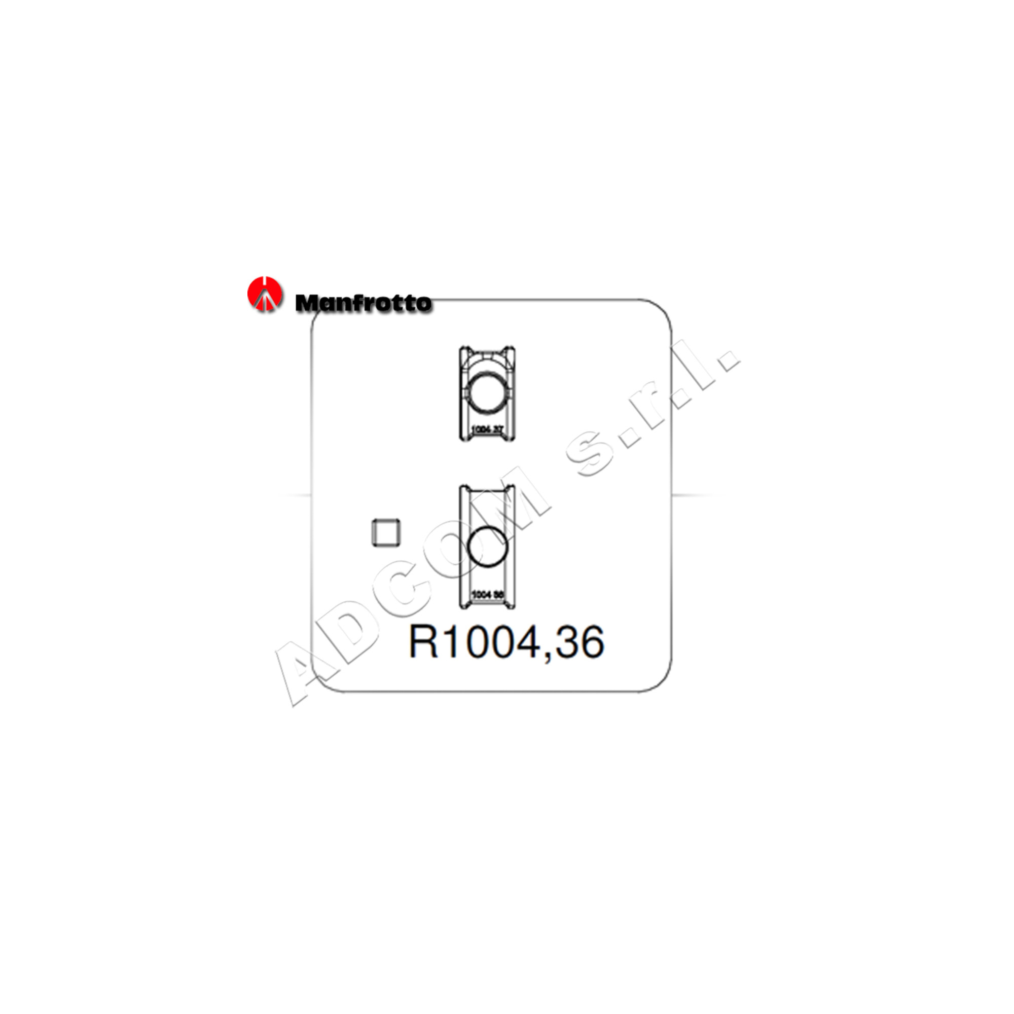 R100436
