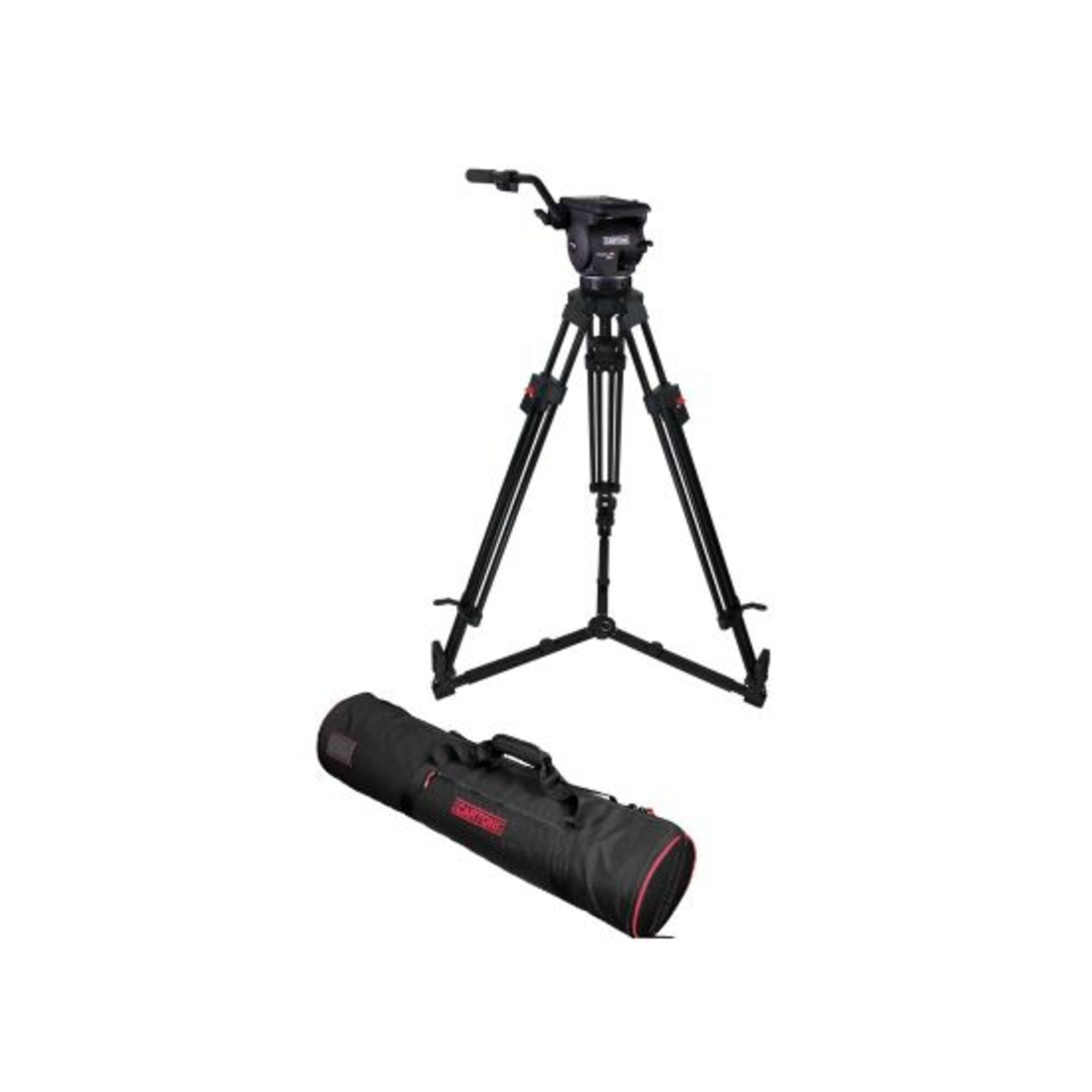 Focus 12 - KF12-RLG