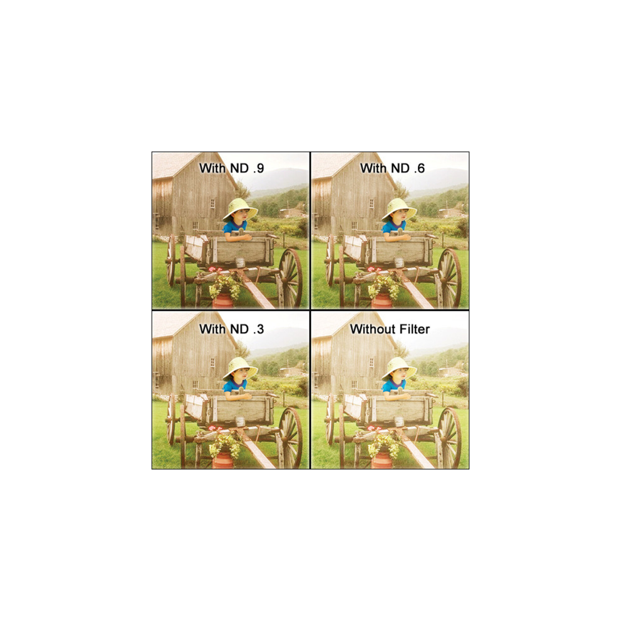 W45650UPOL