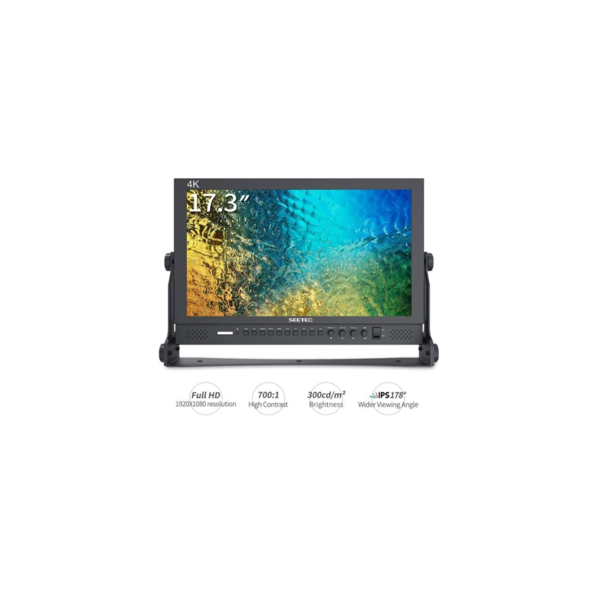 P173-9HSD - SEETEC