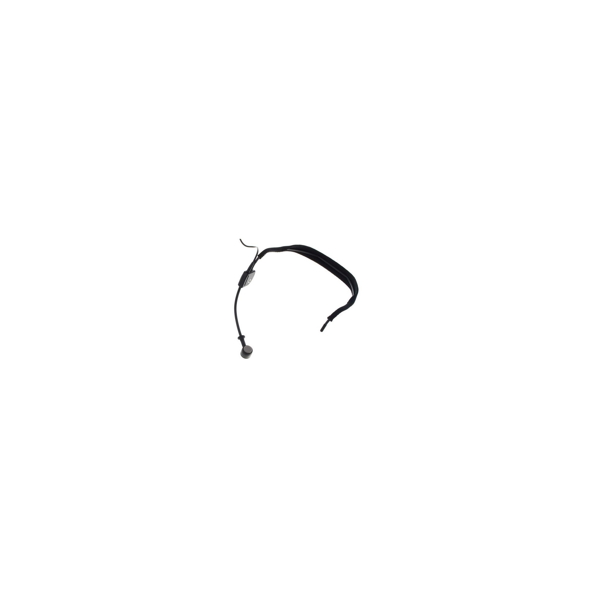 WH20 XLR