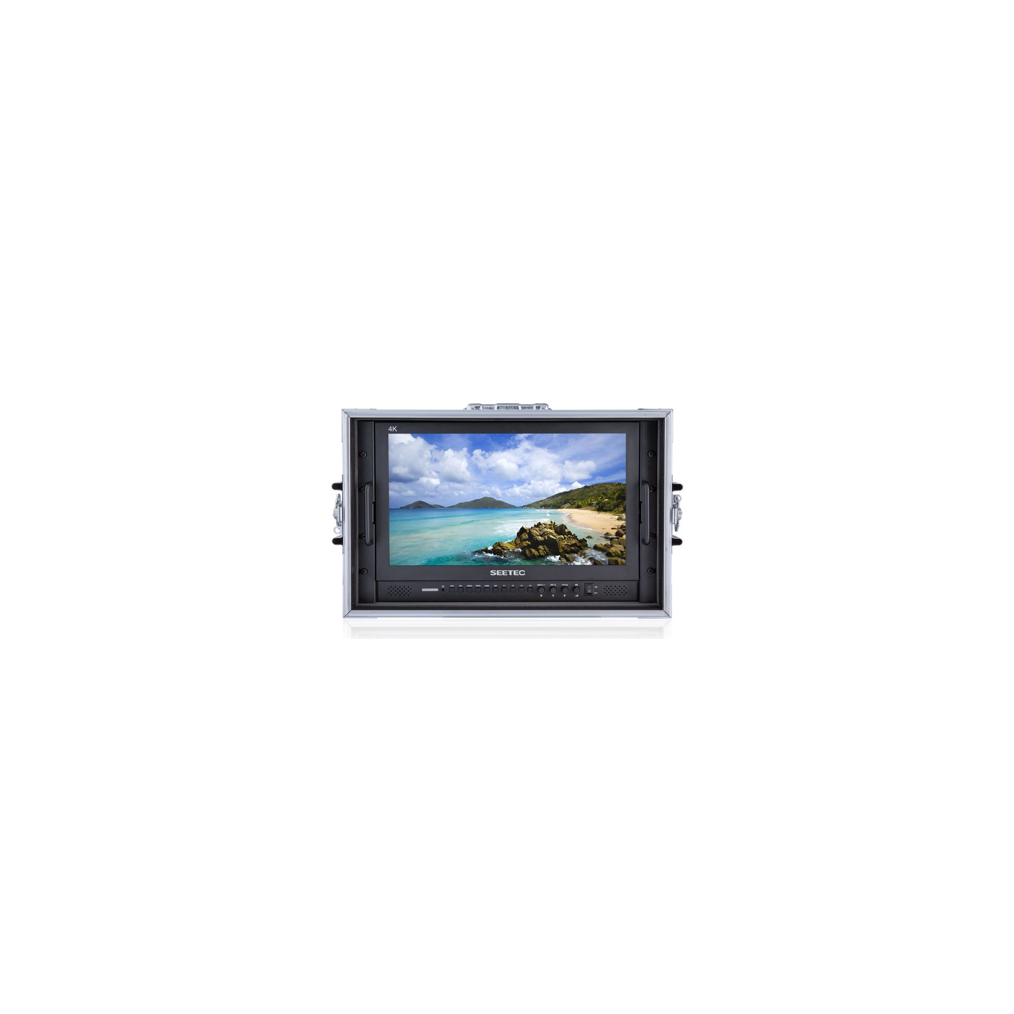 P173-9HSD-CO - SEETEC