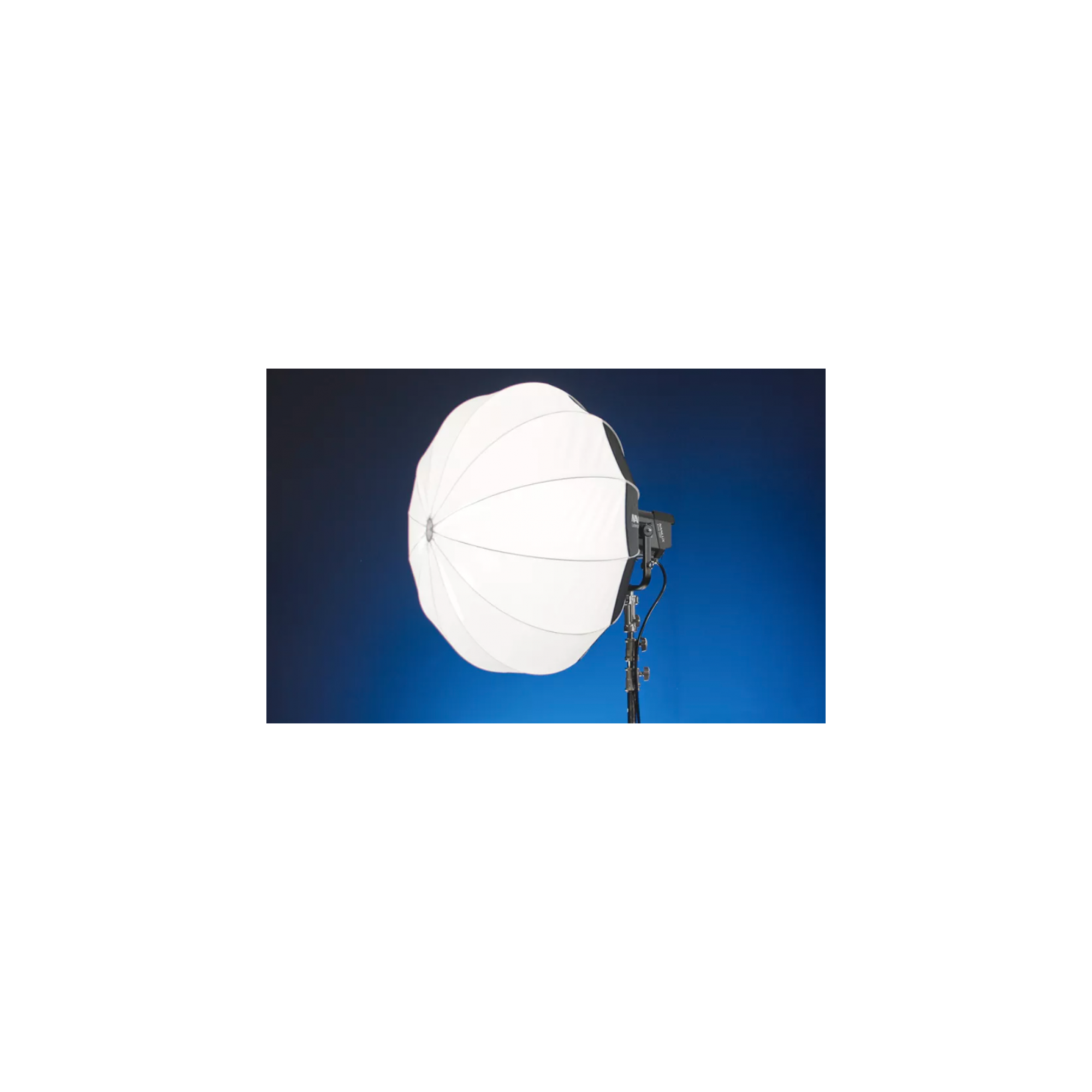 LT-NLM-120