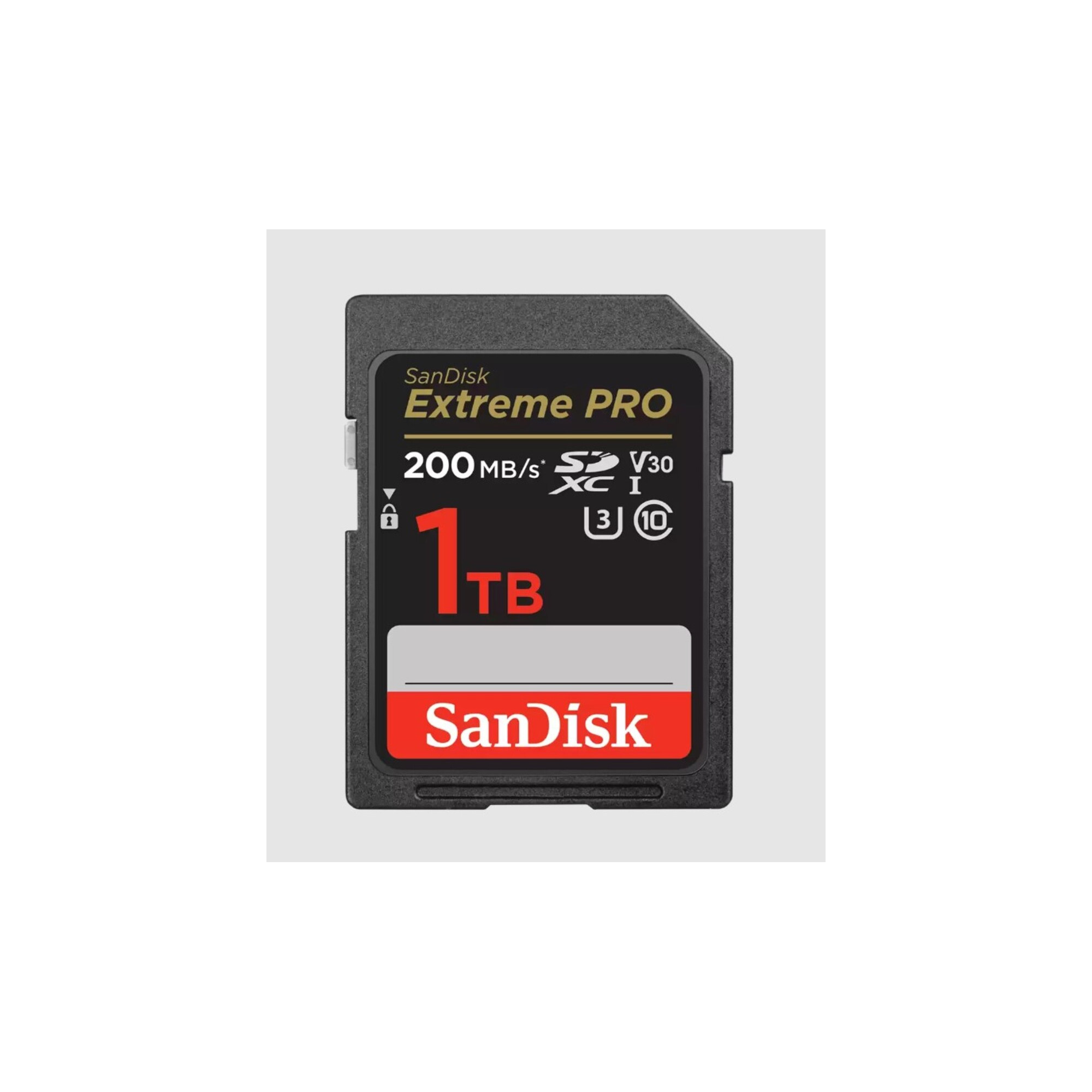 SDSDXXD-1T00-GN4IN
