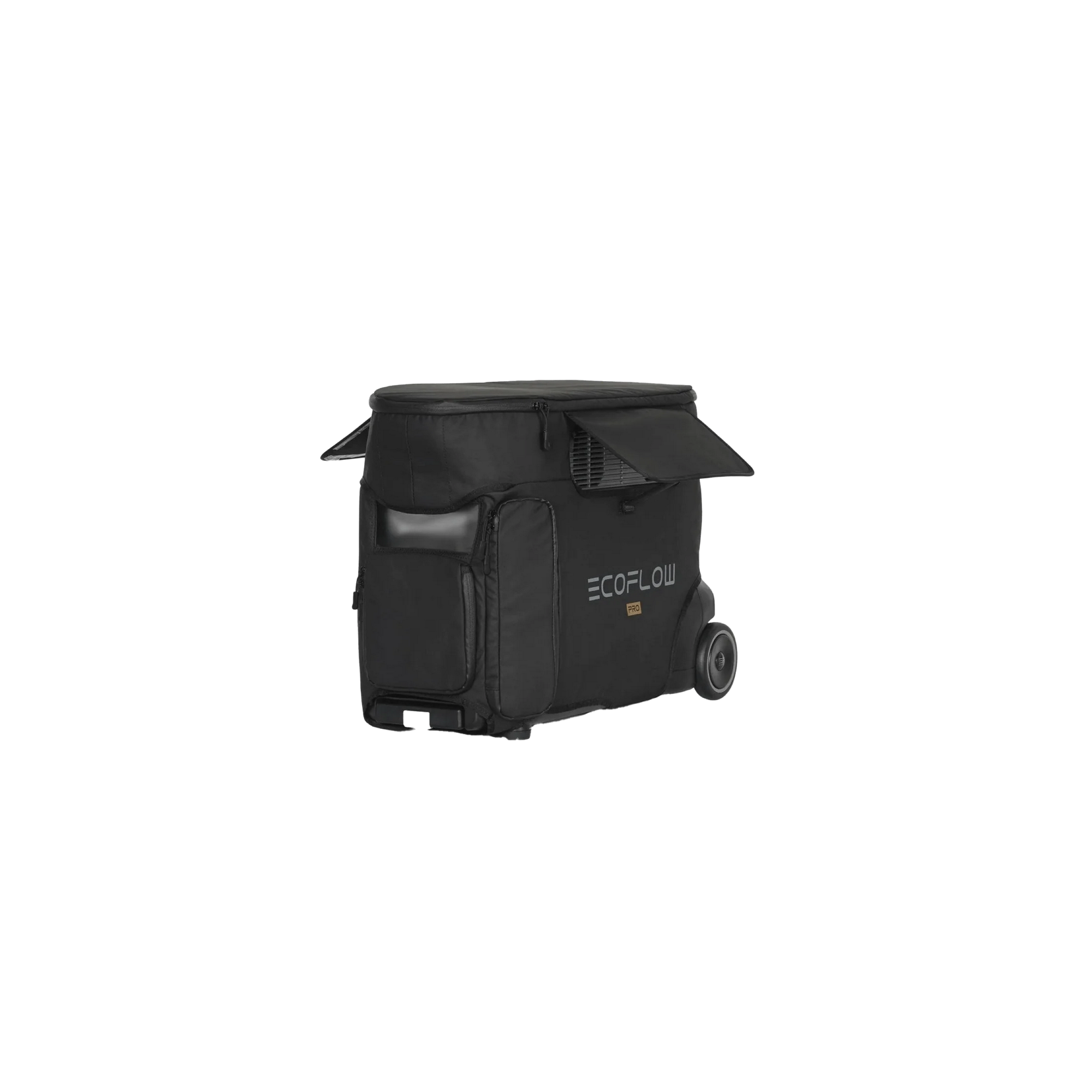 EcoFlow Borsa Delta Pro