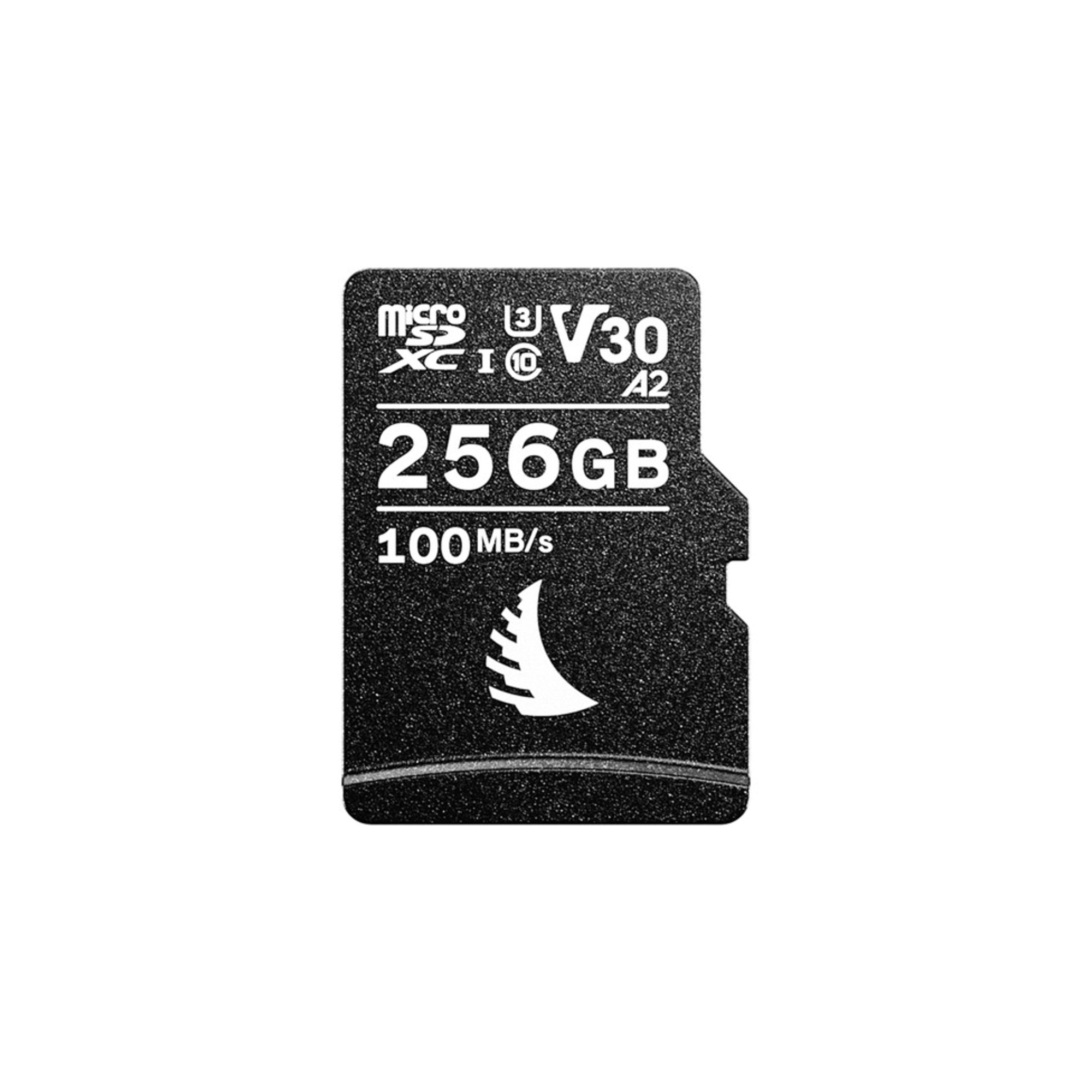 AVP256MSDV30
