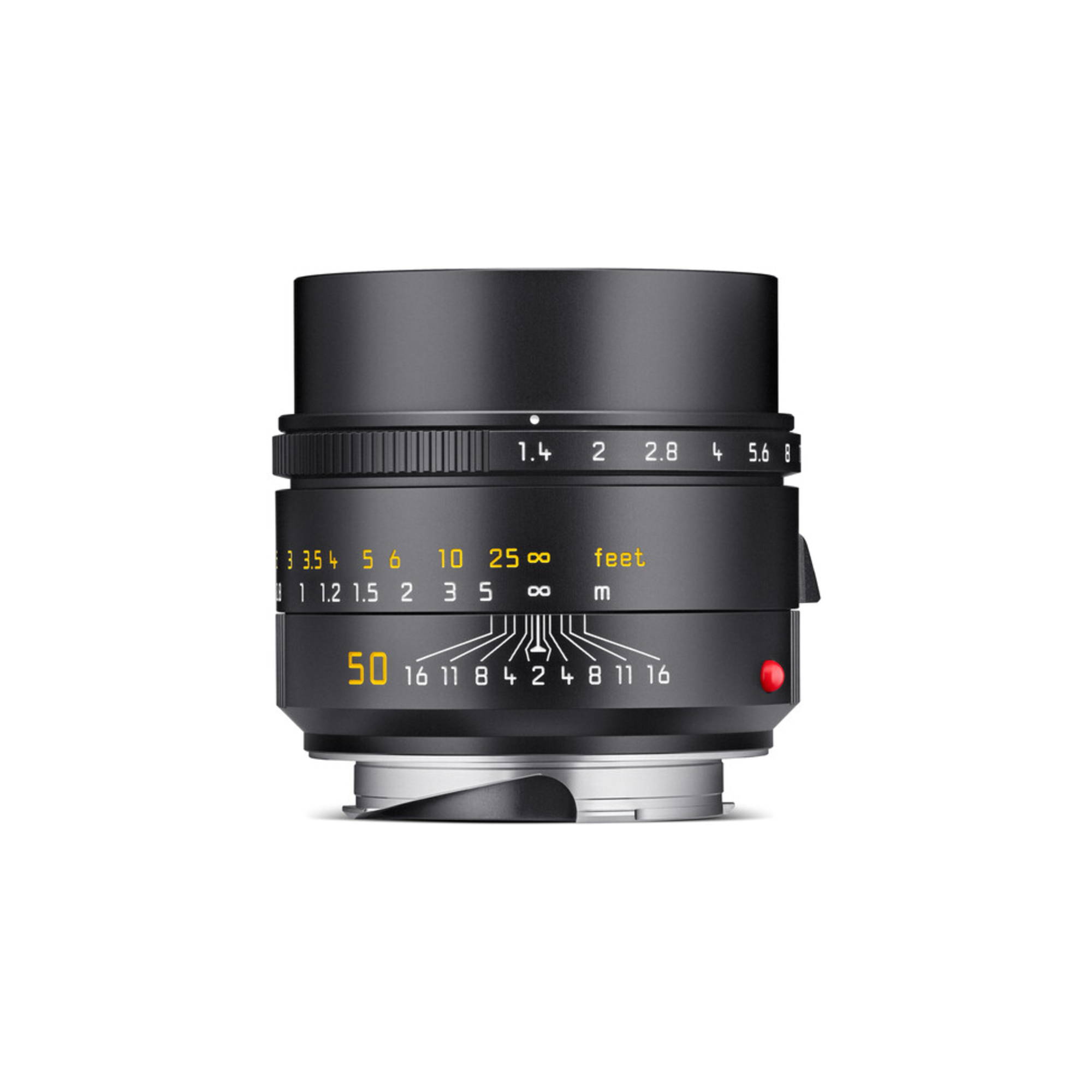 Summilux-M 50mm f1.4 - 11728