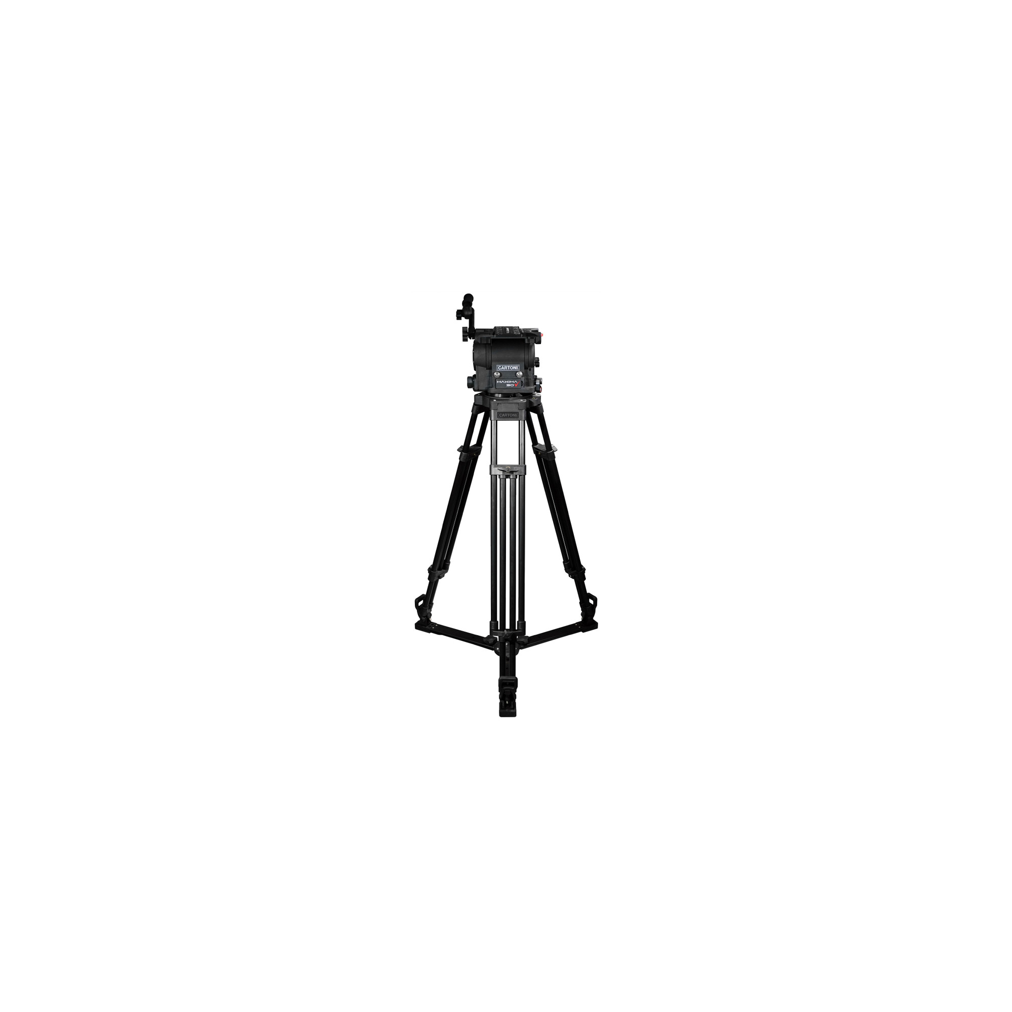 MAXIMA 30 KIT - Cartoni