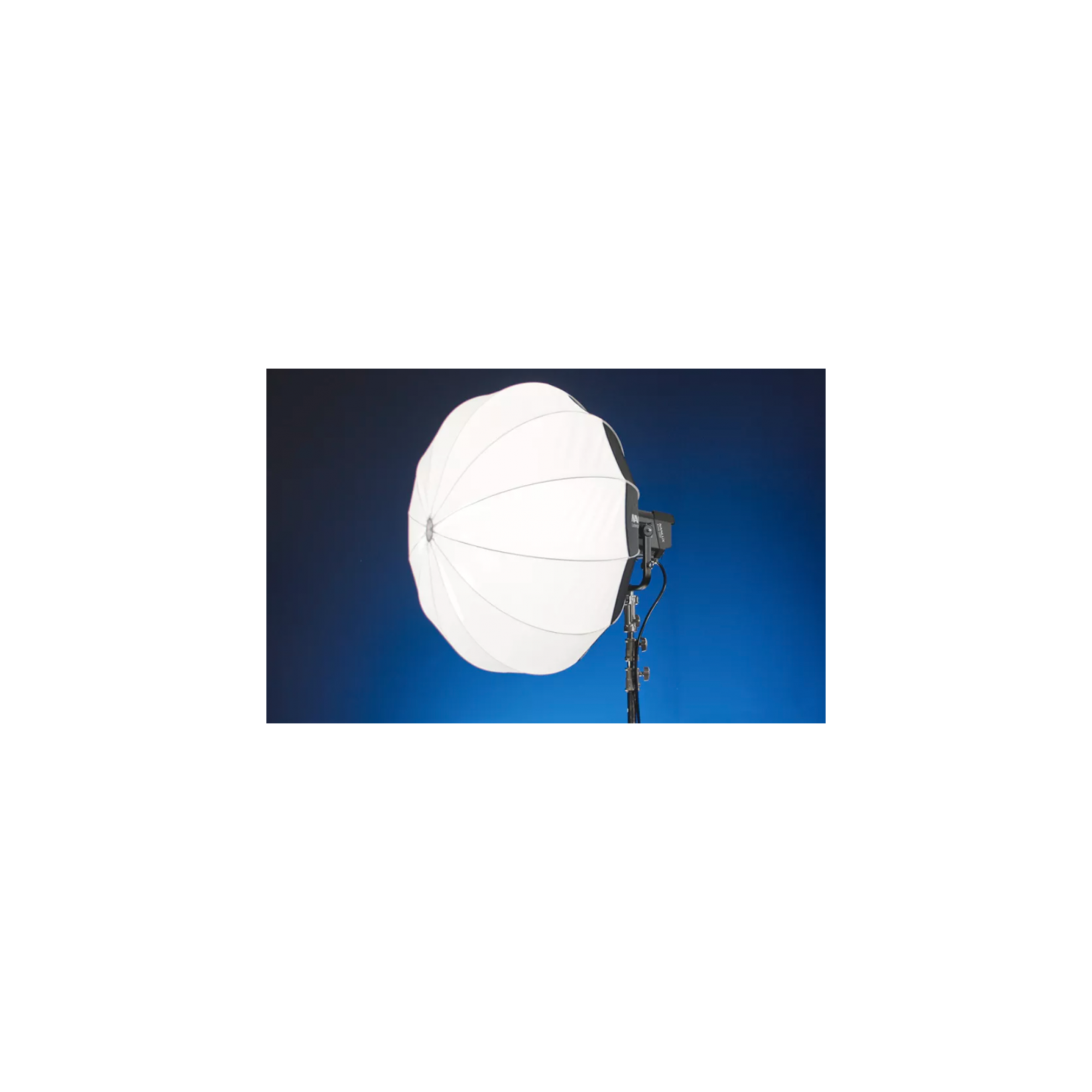 LT-NLM-120