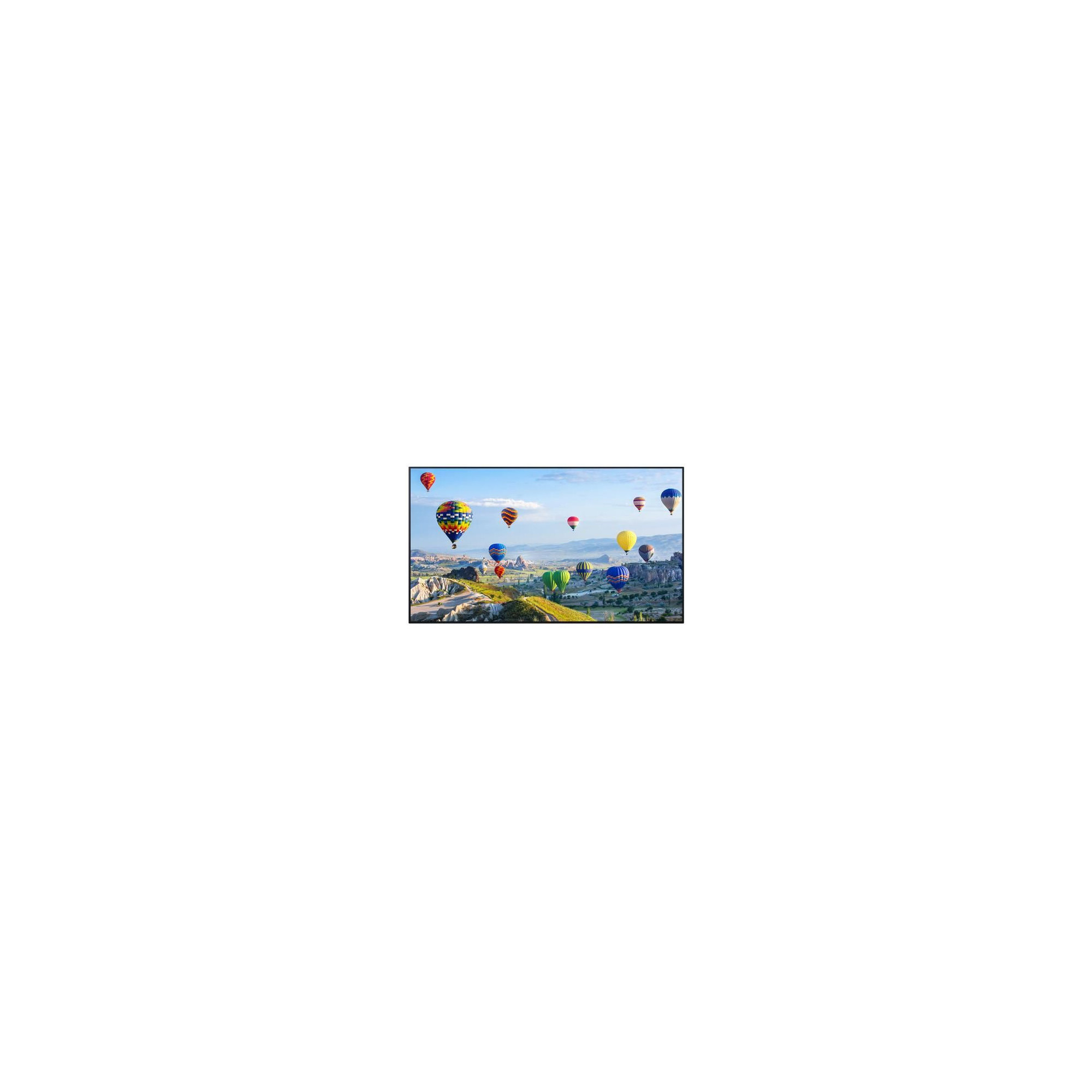 TH-49SQ1