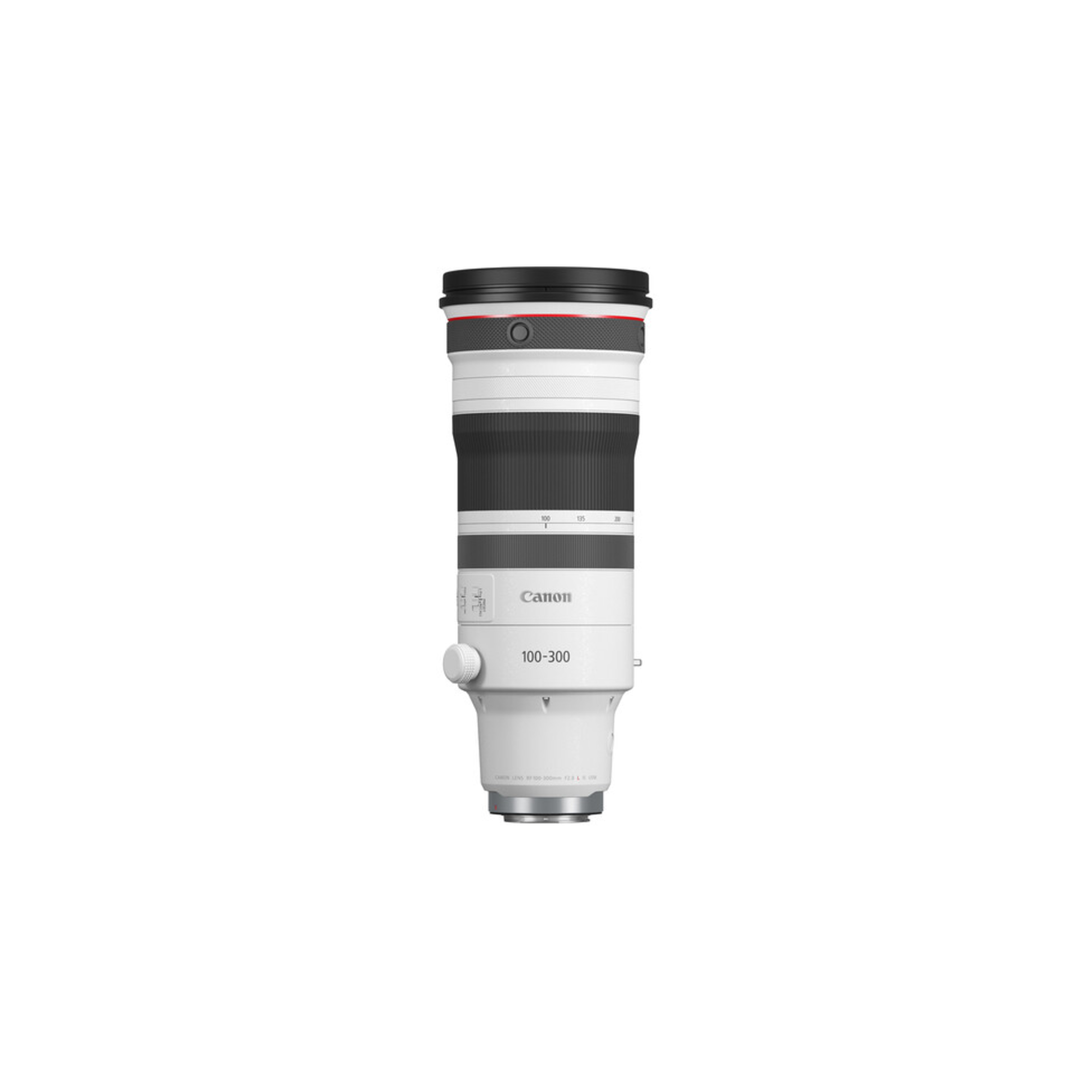 RF 100-300mm F2.8 L IS USM
