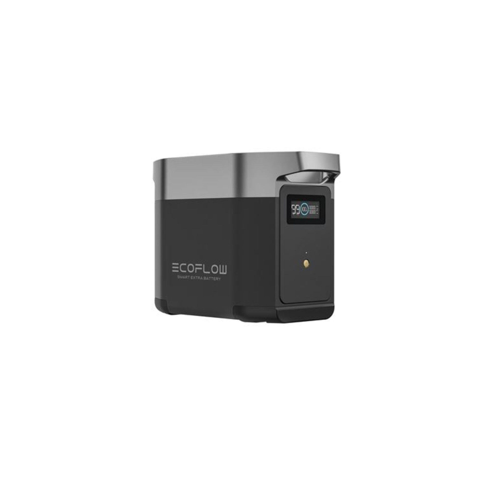 DELTA 2 Extra Battery
