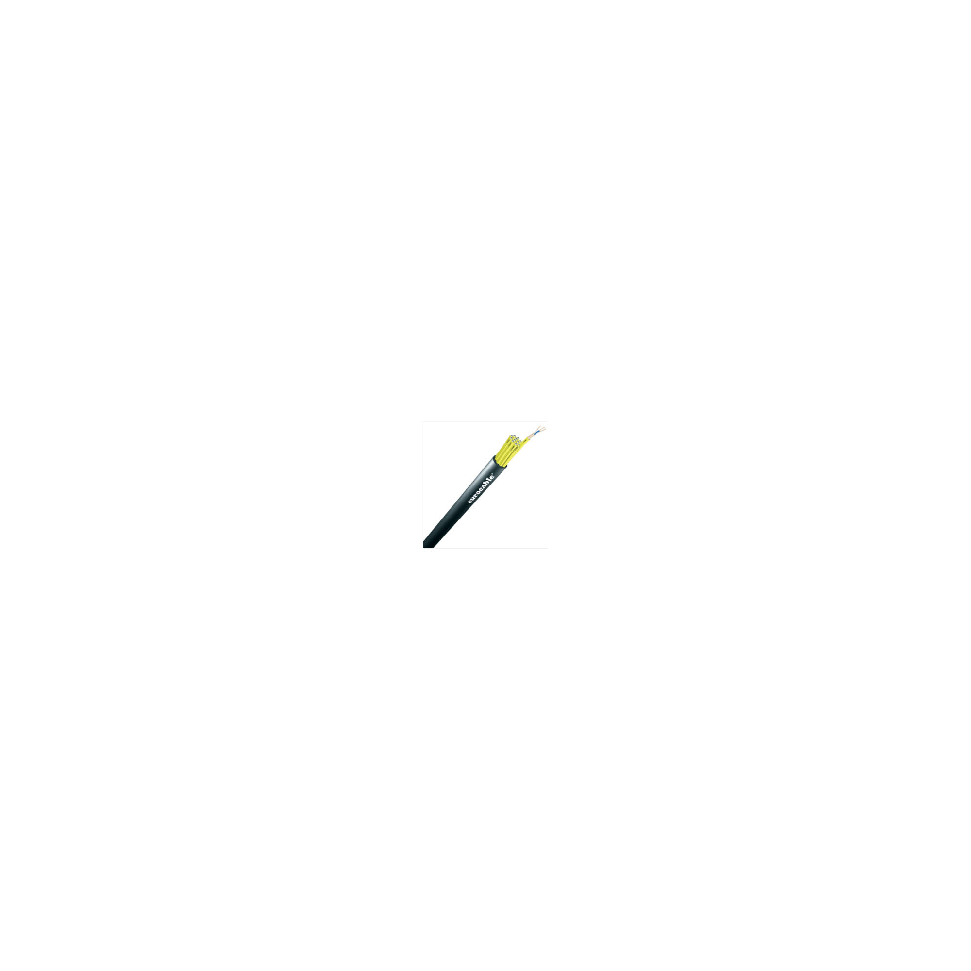 CVS LKSS08C