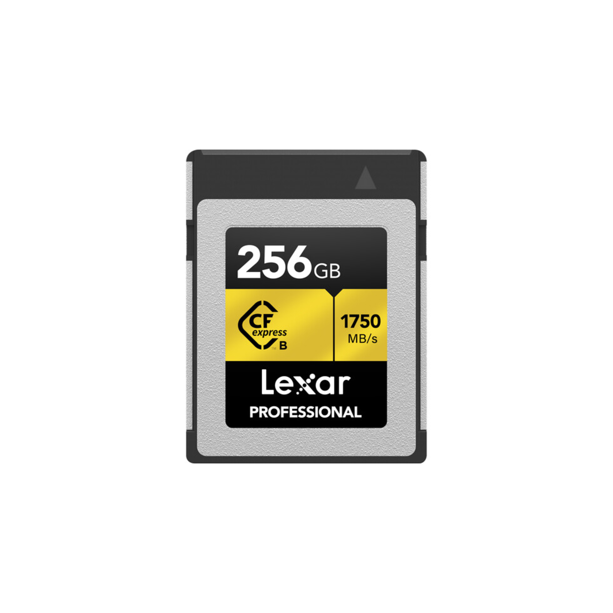 CFExpress Professional 256GB G