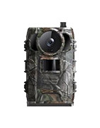 Trail/Wildlife Cameras