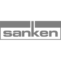 SandiskProfessional