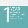 1Y Upgrade to Profess. Support