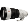 SEL-300F28GM.SYX