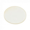 Glass plate D1 -300 K