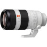 SEL-100400GM.SYX