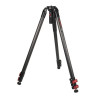 Gazelle Fastbowl TC7