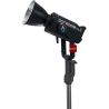 LS 600c Pro II