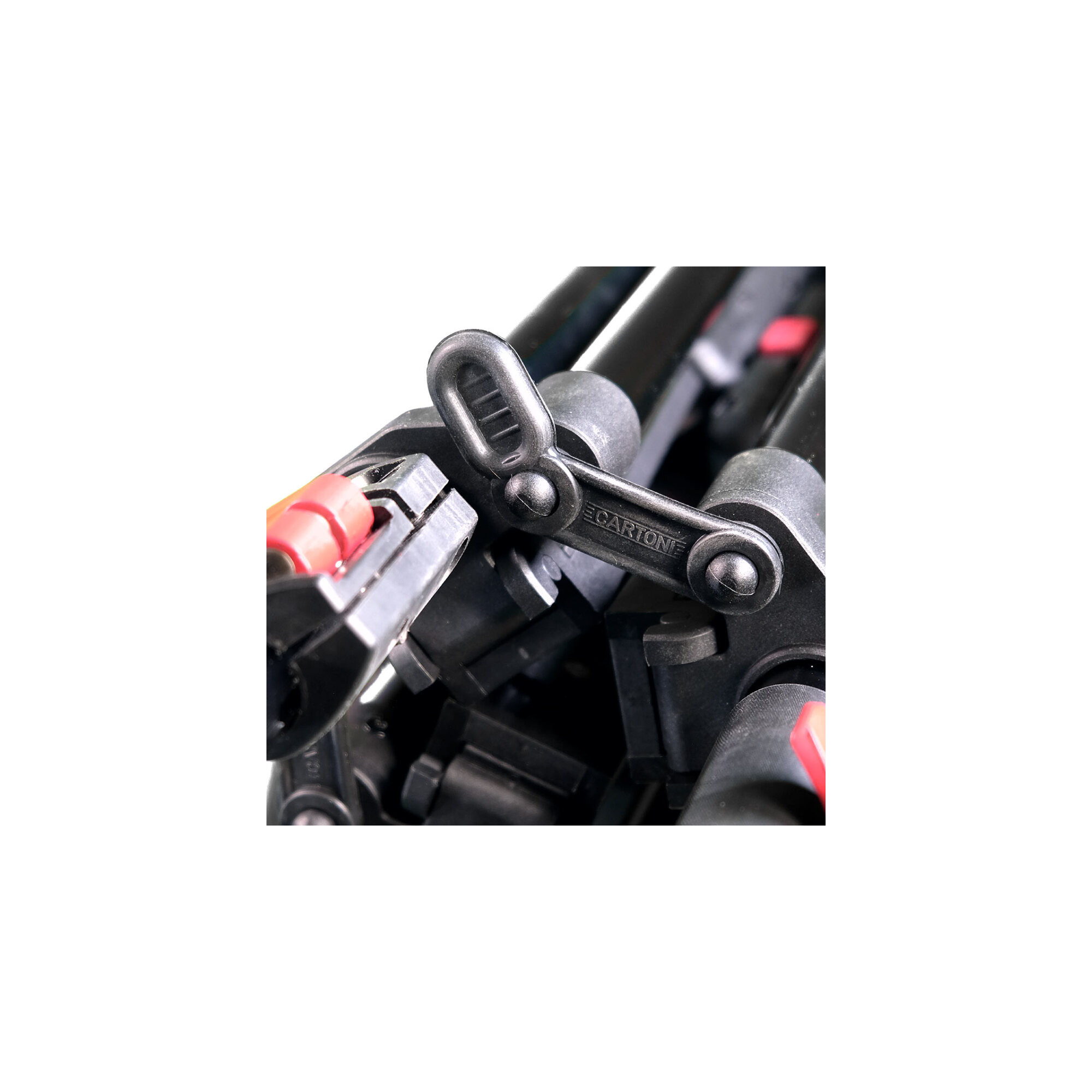 Focus 12 - KF12-RLM