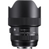 14-24mm F2.8 DG HSM AF  NEX
