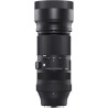 100-400mm f5-6.3 DG CDN OS L