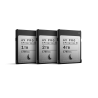 AV PRO Cfexpress MK2 4TB
