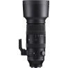 60-600mm F4.5-6.3 DC HSM Leica