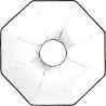 OCF Beauty Dish White 2