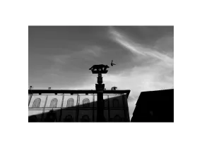 Leica Q3 - Monochrom - Leica