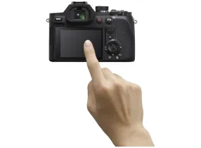 DSC-RX10M5 - Sony