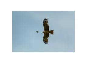 XF 400mm f4.5 R LM OIS WR - Fujifilm