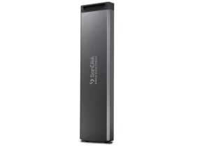 SDPM1NS-001T-GBAND - SandiskProfessional