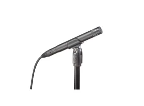 AT2031 - Audiotechnica