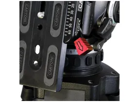 FOCUS 22 Cine - Cartoni