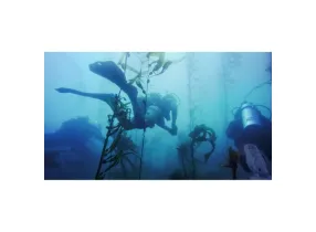 Dive Housing Hero11Mini - GoPro