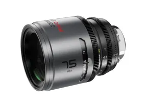 PAVO 75mm T2.1 2x Neutral - DZOFilm